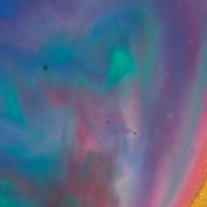 Meet your Posher, Edgar